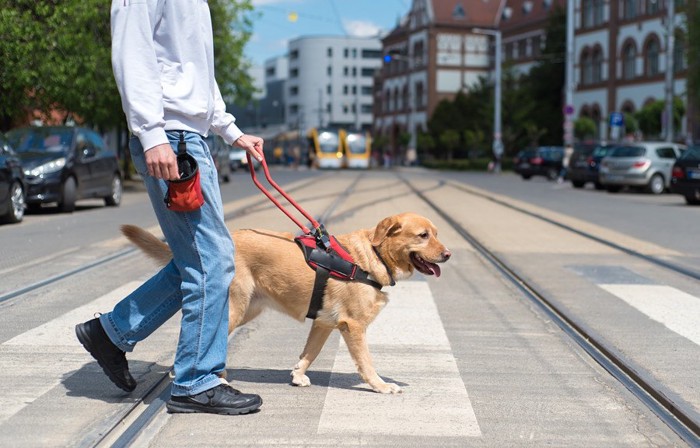 誘導する補助犬