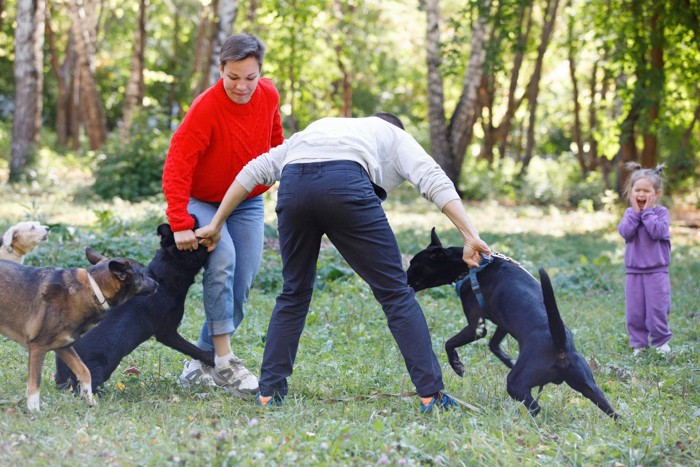 犬の喧嘩を仲裁する飼い主