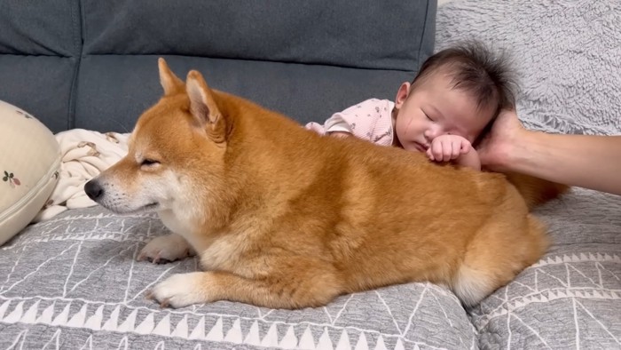 うにちゃんもウトウト…