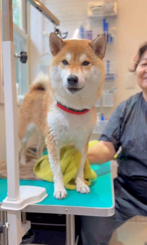 ママさんに文句を言う定春くん2