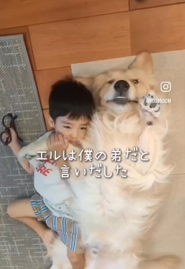 エルくんを弟だと言い出したていちゃん