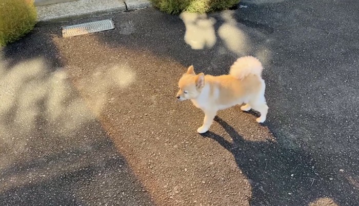 ひかれないように避難