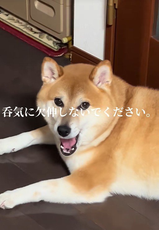 どいてくれる気ゼロ！