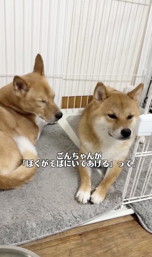 来てくれた！