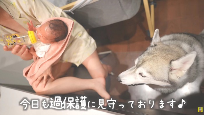 過保護なもんちゃん