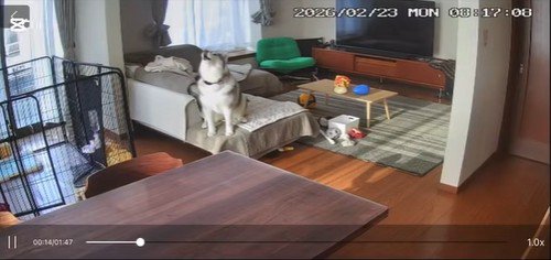 「みんな、私を置いて出ていったんだ…！」