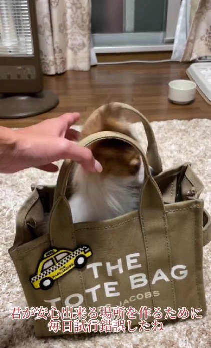 少しずつ新しい環境へ