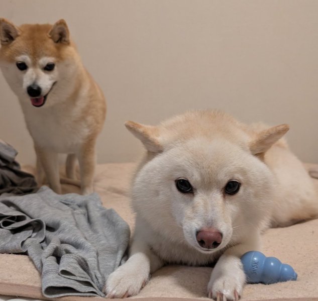 ほっこり