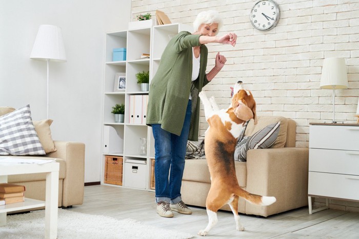 飼い主の反応に興奮する犬
