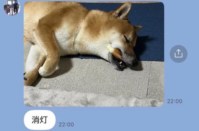 眠るふうたくん