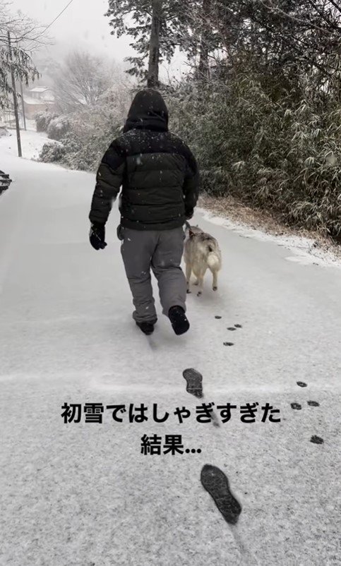 初雪ではしゃぎすぎた結果