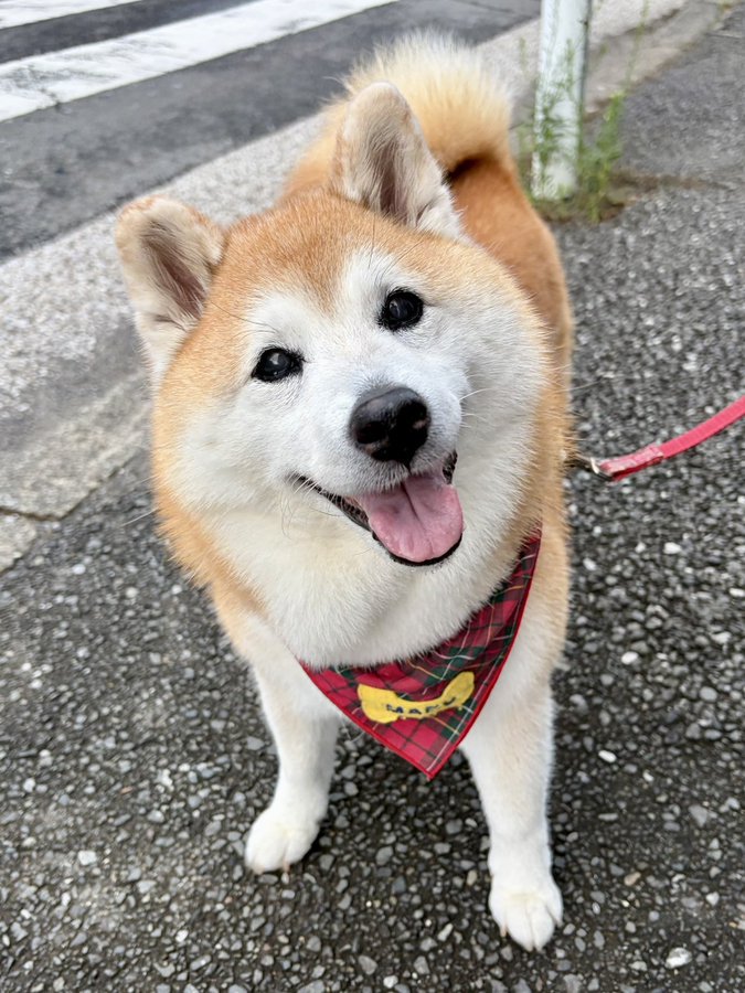 楽しいね