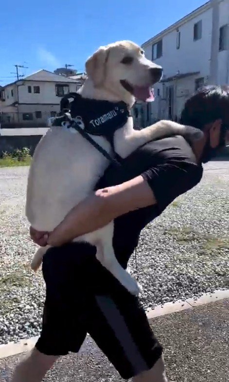 おんぶしてもらえて嬉しそう♪