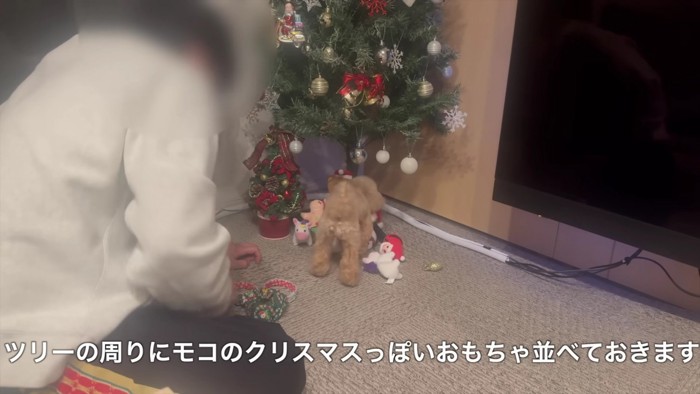 クリスマスの支度