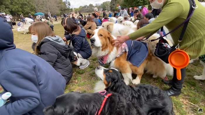 人と犬の集合写真