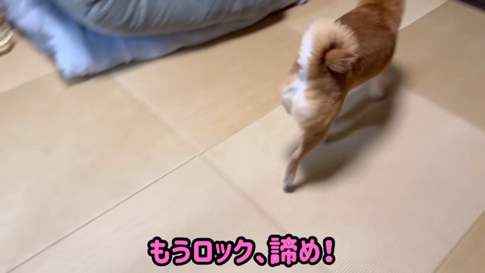即座に逃亡！！