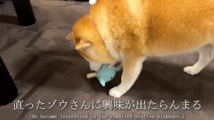 「こんなに綺麗になるなんて！」