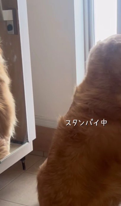 朝までパパを待つ