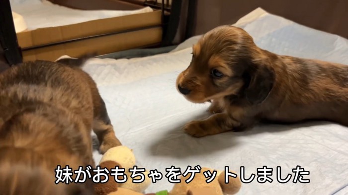 おもちゃを取られていじけるジャンボくん6