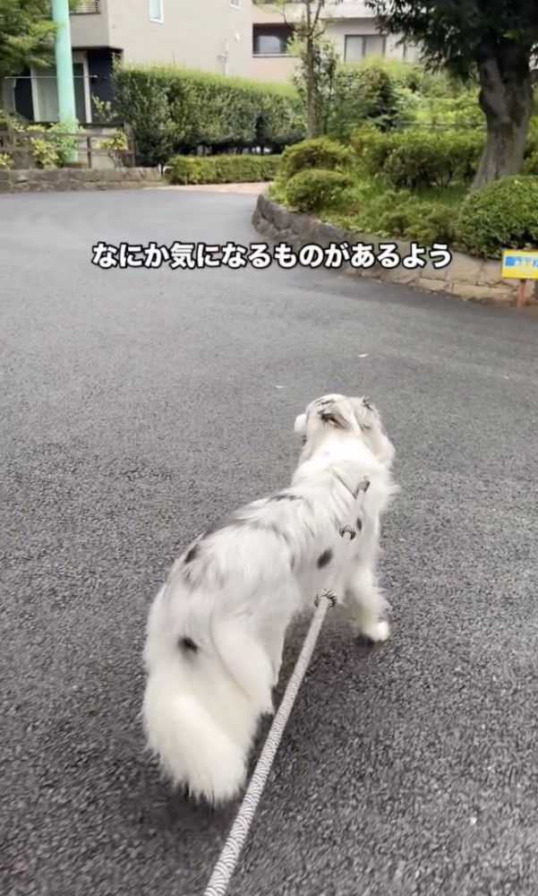 気になるものがある