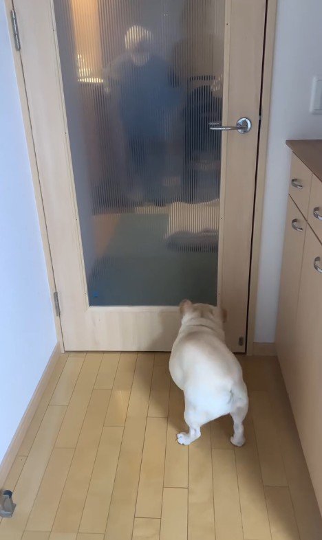 おばあちゃんを見つけたエルモくん3