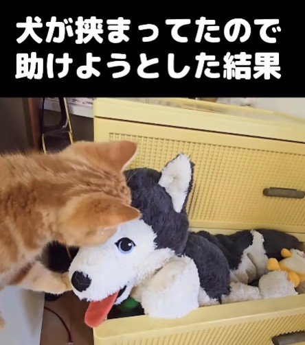 どうしたらいいの…