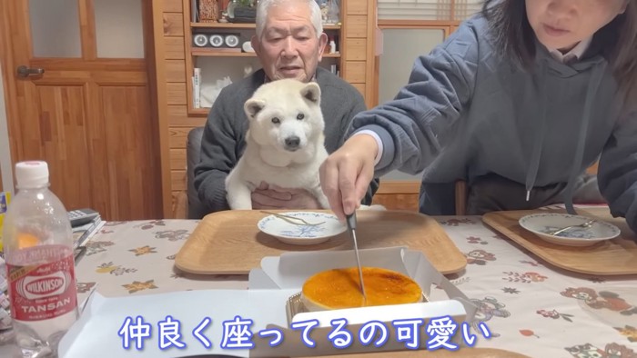 「これは…私のケーキに違いない…！」