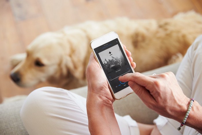 スマホをいじる飼い主とその犬