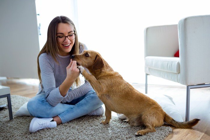 犬と女性 家