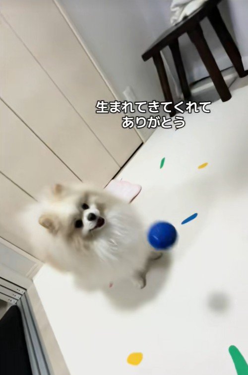 木ノ葉丸くんとの出会い⑩