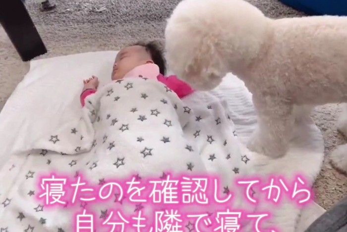 寝かしつけもお手の物