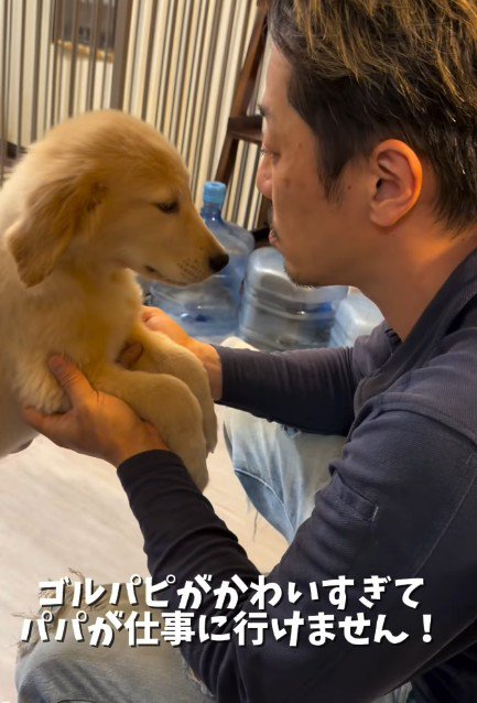 愛犬が可愛すぎる