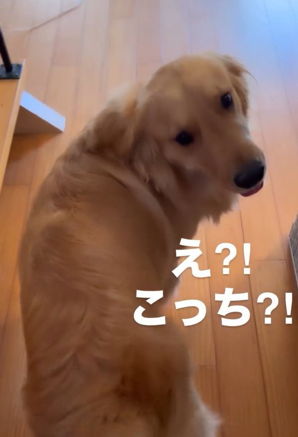 右を振り向く福ちゃん