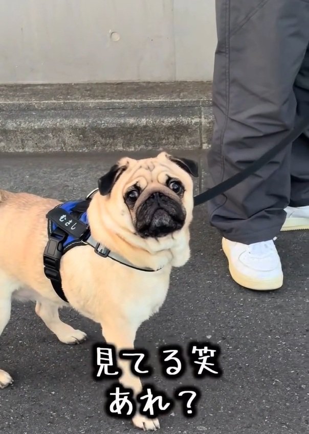 困惑するママ