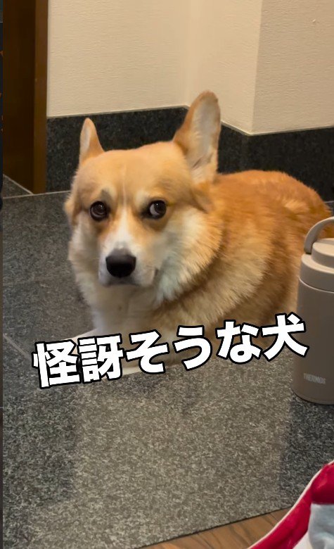 納得いかない時の怪訝そうな表情