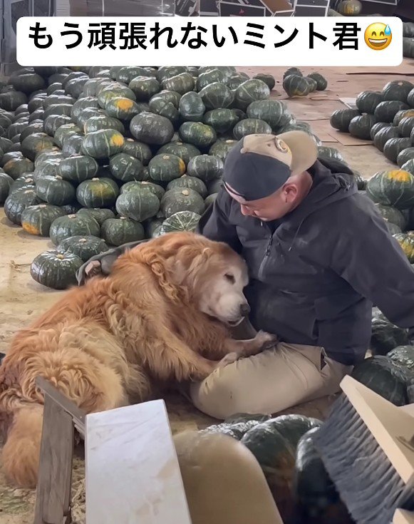 ベタベタと甘え始めた