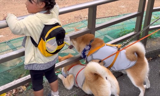 前のめり