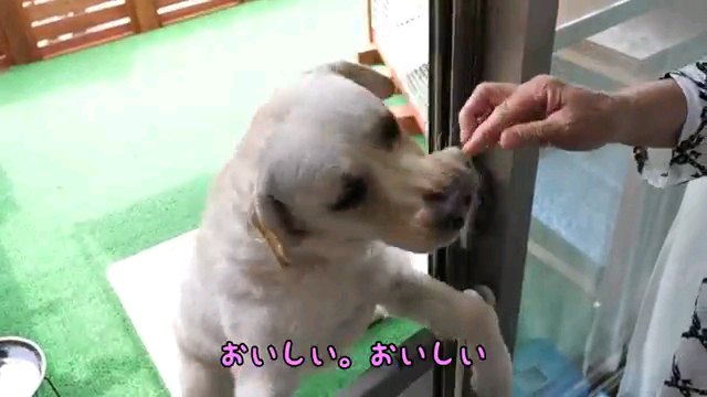 おいしい。～字幕