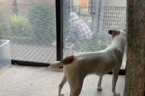 いつも一緒がいい…