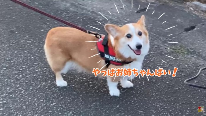 笑顔のはなちゃん