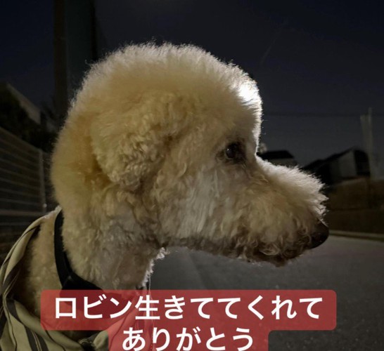 生きててくれてありがとう