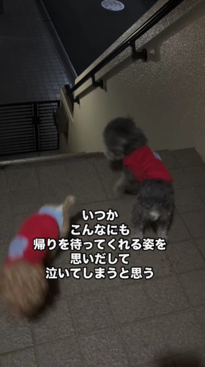 テンションは最高潮に♪