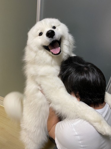 ニパッ