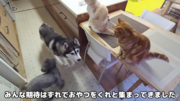 おやつにしますか♪