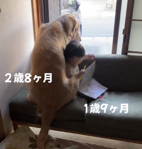 尻もちをつく赤ちゃん