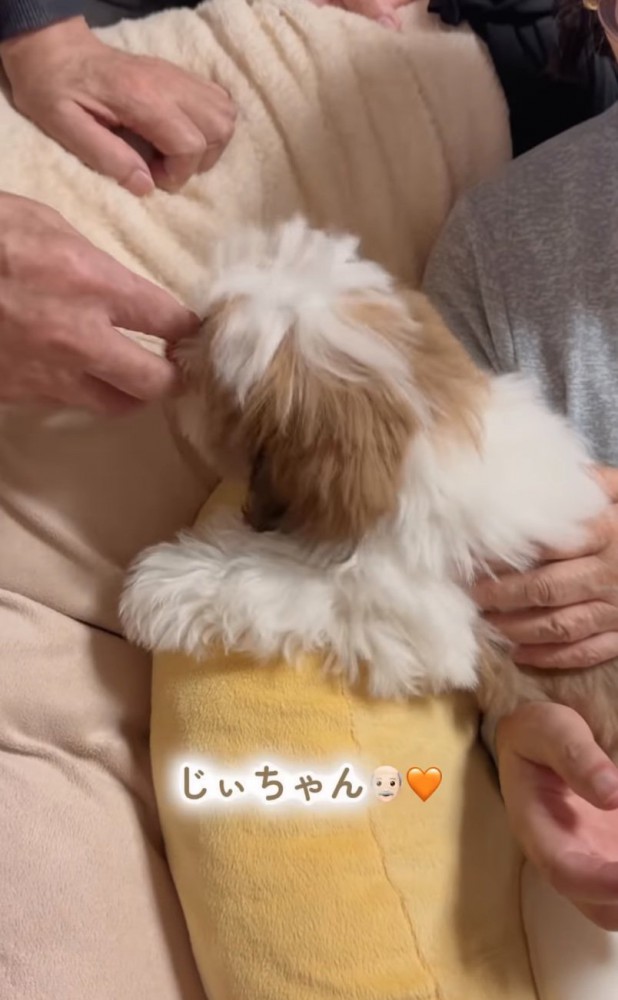 おじいちゃんの手元に