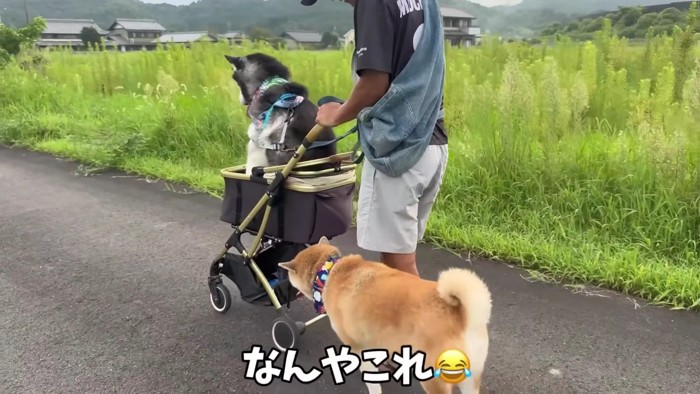 思わず二度見しそう…！