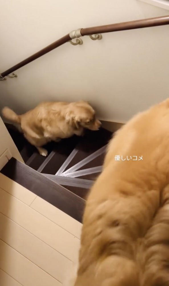 ゆっくりと2階へ