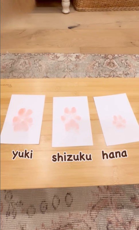 3匹のワンコたちの肉球スタンプ作り⑩