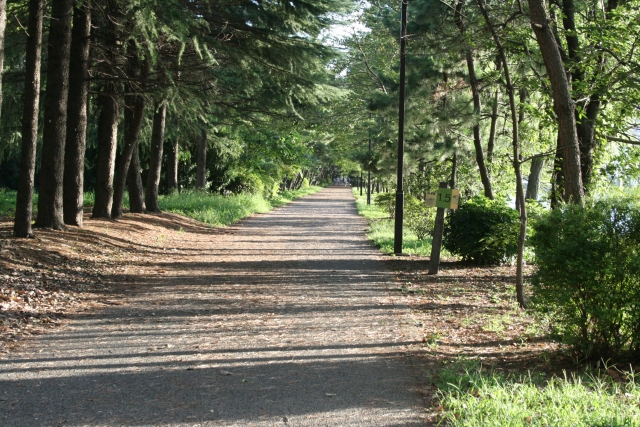 散歩道